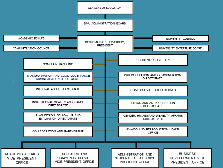 organogram